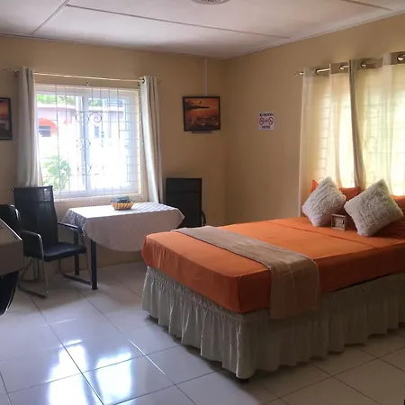 Studio In The Hills Of Ocho Rios Apartment